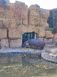 沈阳