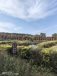 沈阳