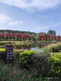 沈阳