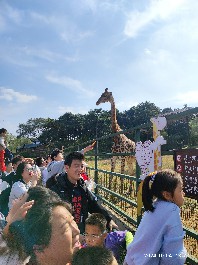沈阳