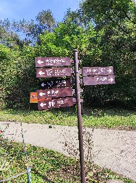 沈阳