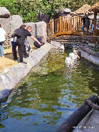 沈阳