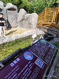 沈阳