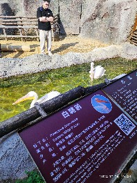 沈阳