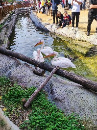 沈阳