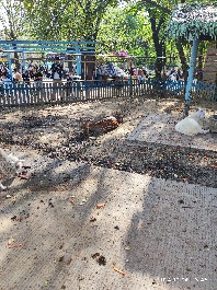 沈阳