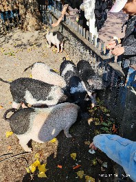 沈阳