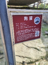 沈阳