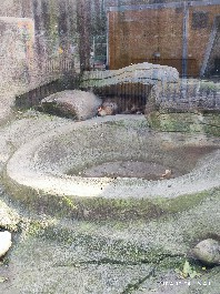 沈阳
