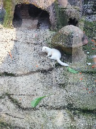 沈阳