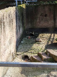 沈阳