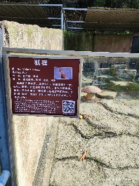沈阳