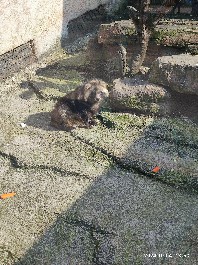 沈阳