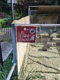 沈阳