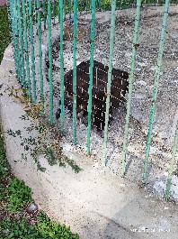 沈阳