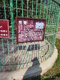 沈阳