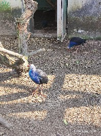 沈阳