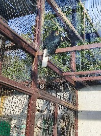 沈阳