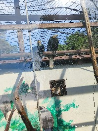 沈阳