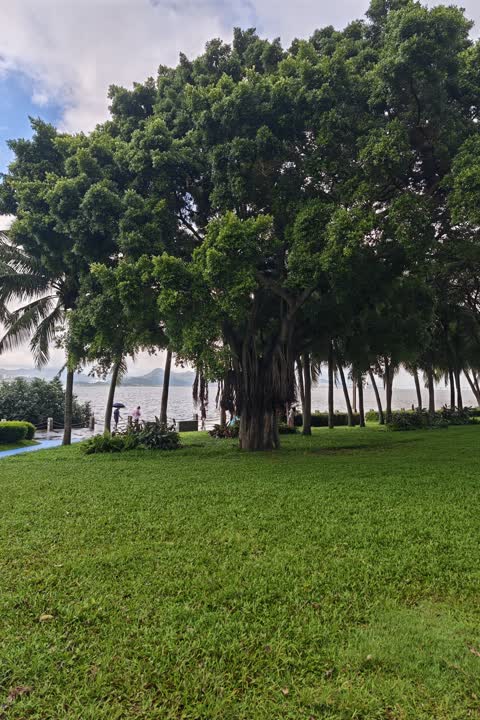 深圳