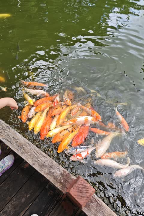 深圳