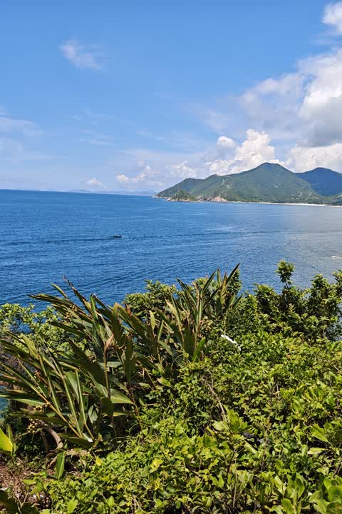 深圳