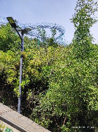 石家庄