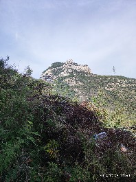 石家庄