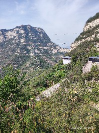 石家庄