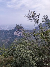石家庄