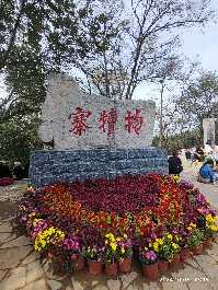 石家庄