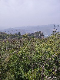 石家庄