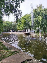 石家庄