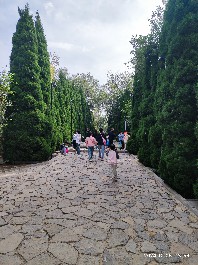石家庄