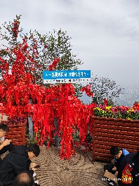 石家庄