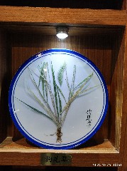 天津