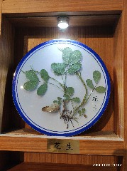 天津