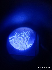 天津