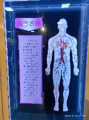 天津