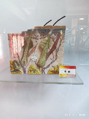 天津