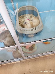 天津