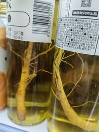 乌鲁木齐