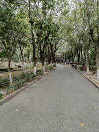 乌鲁木齐