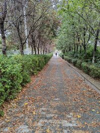 乌鲁木齐