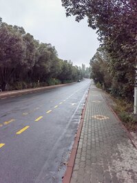 乌鲁木齐