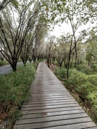 乌鲁木齐