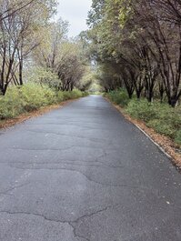 乌鲁木齐