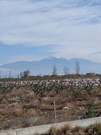 乌鲁木齐