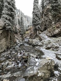 乌鲁木齐