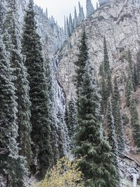 乌鲁木齐